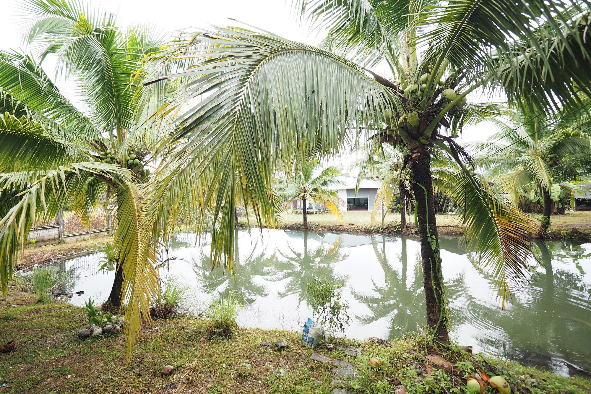 Oyo 75515 Sairung Farmstay Krabi town Exterior foto